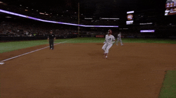 Arizona Diamondbacks Sport GIF by MLB