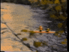 kayak kayaking GIF