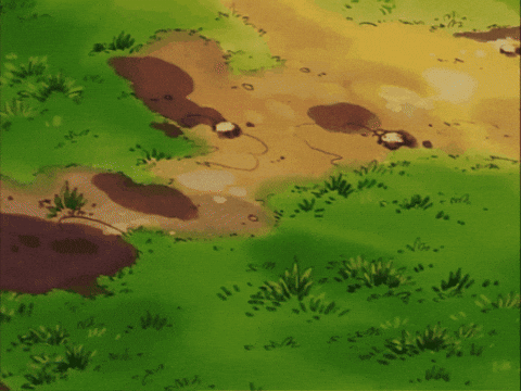 Leaf Ko GIF by Pokémon