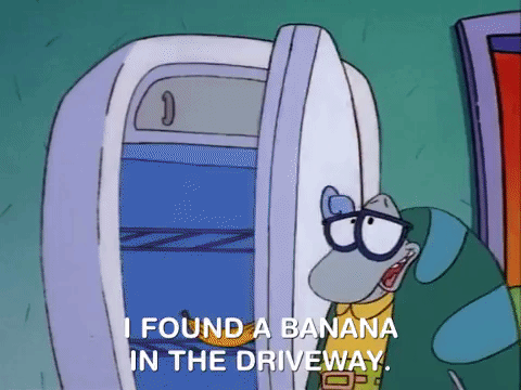 rockos modern life nicksplat GIF