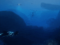 ocean GIF by Beyond Blue