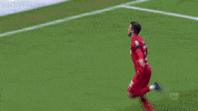 1 Fc Cologne Celebration GIF by 1. FC Köln