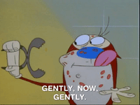 ren and stimpy nicksplat GIF