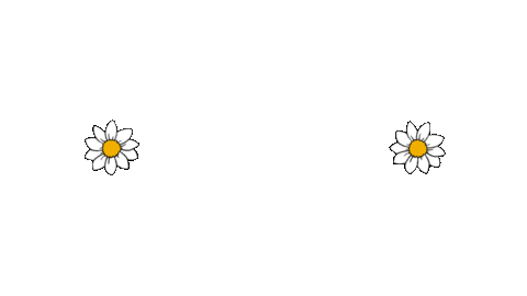 Flowers Saturday Sticker by westeggpress