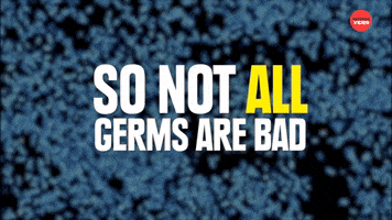Not all germs are bad