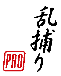 Logo Kanji Sticker by Randori-Pro