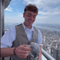 Excited New York GIF by Empire State Building