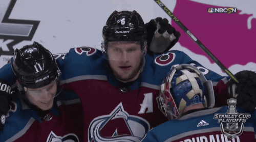 happy ice hockey GIF by NHL