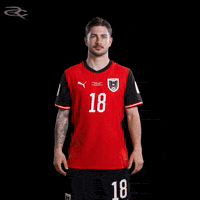 Fifa World Cup Austria GIF by Respective