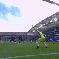 Save Man Utd GIF by Manchester United