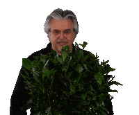 HandelskwekerijGova laurier decorum gova kwekerijgova Sticker