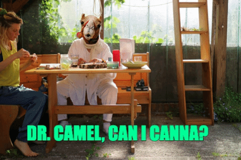 MayTotallyB giphygifmaker health smoke weed GIF