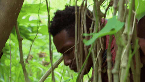 Idol Looking GIF by Survivor CBS