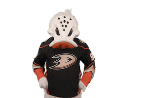 Ice Hockey Sticker by NHL