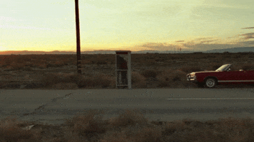 Country Music Police GIF by Shaboozey