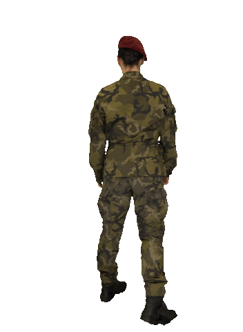 armadaceskerepubliky giphyupload wow army voila Sticker