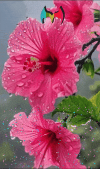Amigos Somos GIF by Murcianys LLC