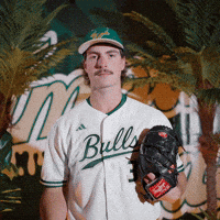 South Florida Baseball GIF by USF Athletics