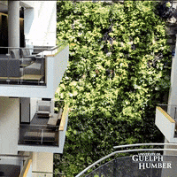 Guelph-Humber  GIF