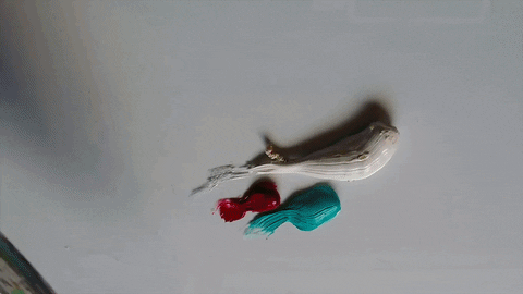 videos satisfying GIF