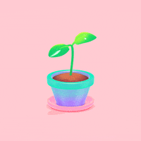 Grow Flower Pot GIF by Michael Shillingburg