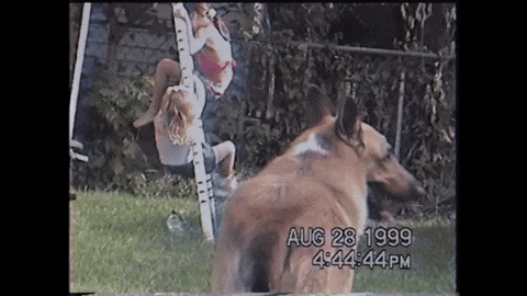 Slim Shady GIF by Eminem
