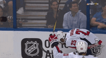 happy ice hockey GIF by NHL