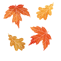 Sparkling_peanuts fall yellow orange autumn Sticker