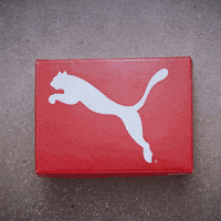 puma training GIF by PUMA