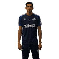 volleyball volley Sticker by EuroVolley2019Fr