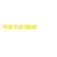 A Star Is Born Nikon Sticker by For The True