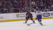 Hockey Goalie GIF