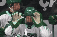 Hockey Dive GIF