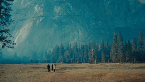 Santa Monica GIF by Aries