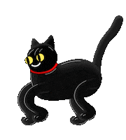 Happy Black Cat Sticker by Freudi