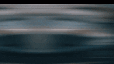 DownbottomRecords giphygifmaker giphygifmakermobile money dance zank GIF
