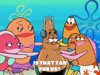 season 6 GIF by SpongeBob SquarePants