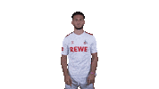 1 Fc Cologne Football Sticker by 1. FC Köln