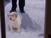 season 5 netflix GIF by Gilmore Girls 
