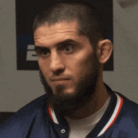 Wrestling Ufc GIF