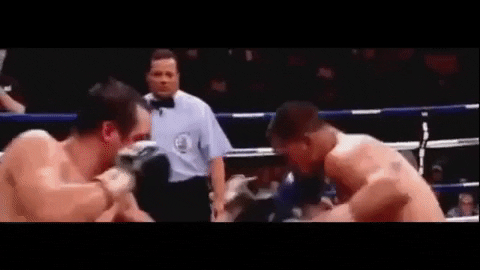 BoxingShoes giphygifmaker GIF