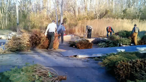 Whitesox924 giphyupload GIF