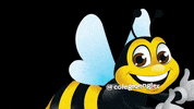 colegioengler colegio abelha engler colégioengler GIF