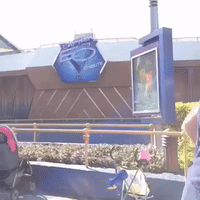 GIF by Brittlestar