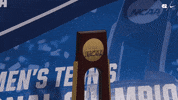 University Of North Carolina Champions GIF by UNC Tar Heels