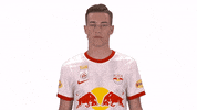 Celebration GIF by FC Red Bull Salzburg