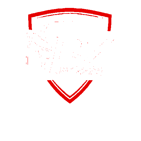 Car Tuning Sticker by BZ Performance GbR