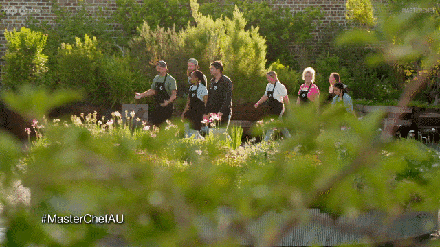 Mal Theo GIF by MasterChefAU