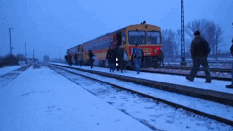 mporsustentabilidade giphygifmaker climatechange clima climateaction GIF