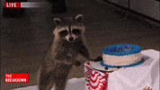 County Fair Party GIF by Inside Edition